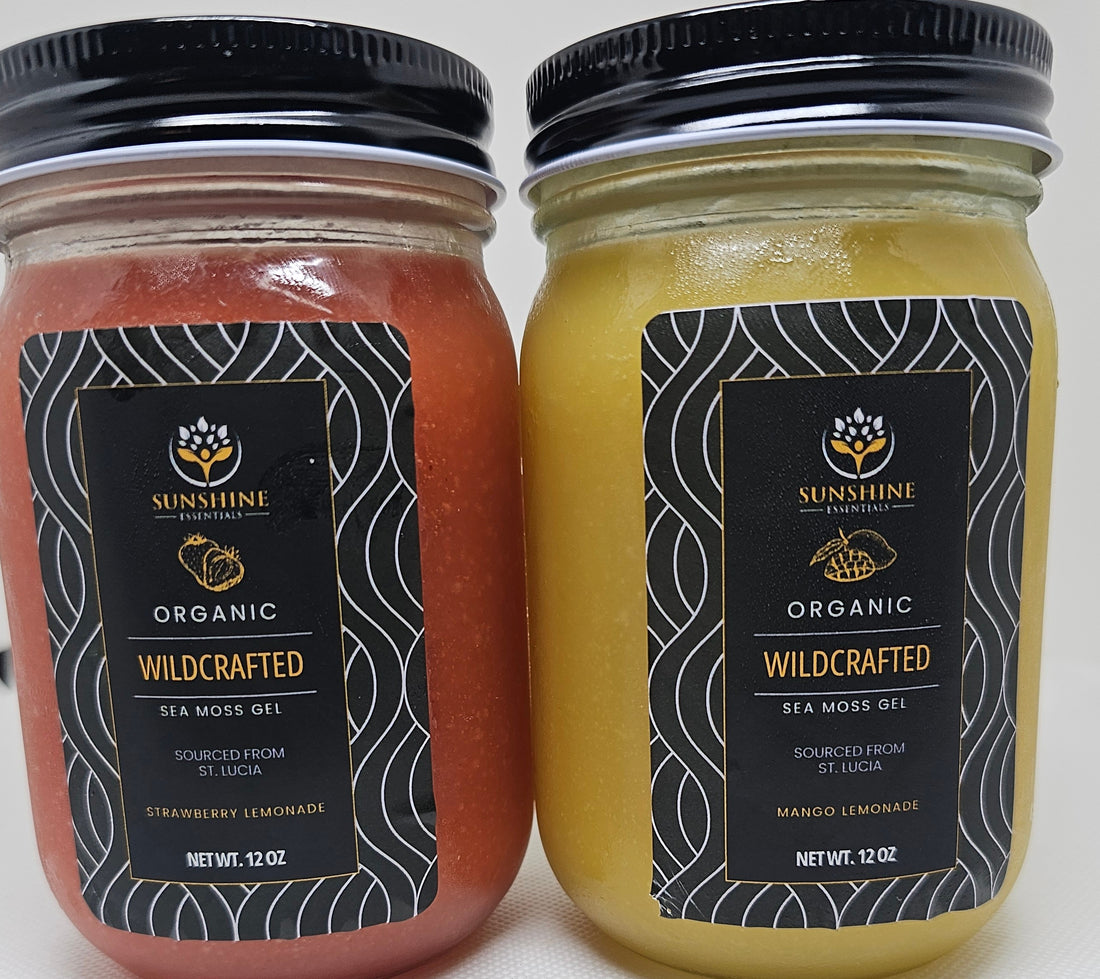 Detox Duo 2-Pack (Mango Lemonade and Strawberry Lemonade)
