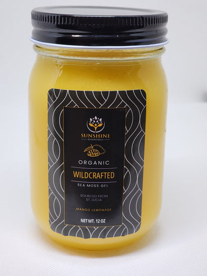 Mango Lemonade sea moss gel – Sunshine Essentials Organic Wildcrafted, 12 oz